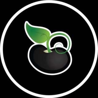 Caraota Digital logo