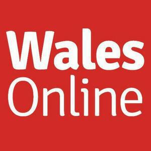 Wales Online logo