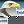 Enid News & Eagle