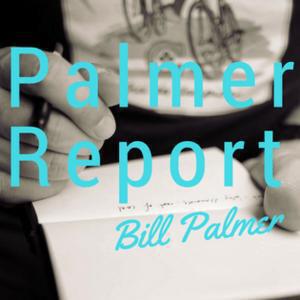 Palmer Report logo