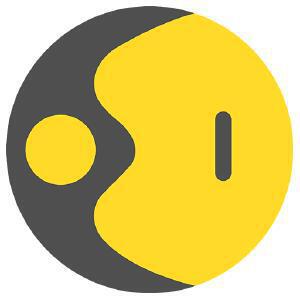 WION logo