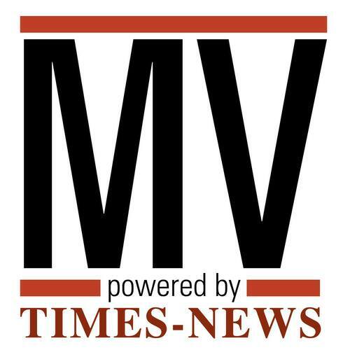 Times-News logo